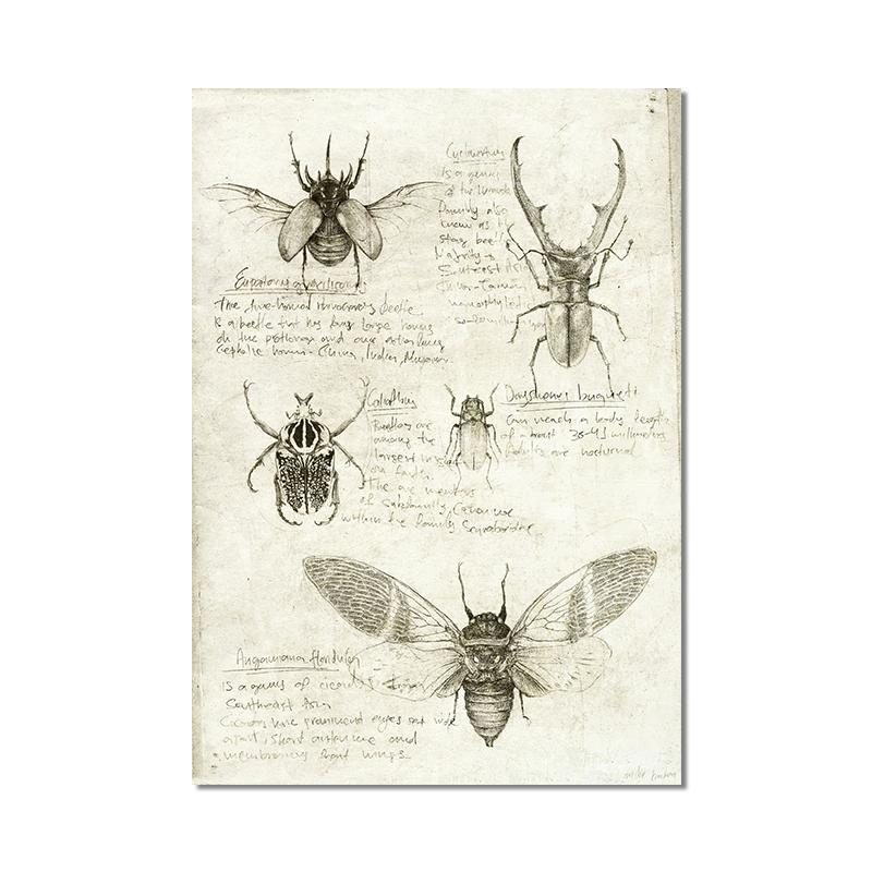 Vintage Fox Butterfly Deer Insect Note Retro Poster Mushrooms Canvas Painting Wall Art Print Wall Pictures for Living Room Decor