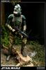 Sideshow Collectibles Militaries of Star Wars 12 Inch Deluxe Action Figure Commander Gree 41st Elite Corps