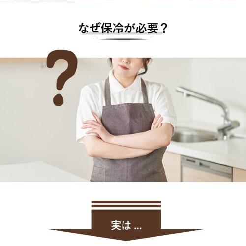 SaiEL Rice Cooler, Refrigerator Compatible, 11kg, 21kg, 31kg Capacity, Rice Storage, Washable, Stylish, Simple, Slim, Washable (SLI-RC11, SLI-RC21)