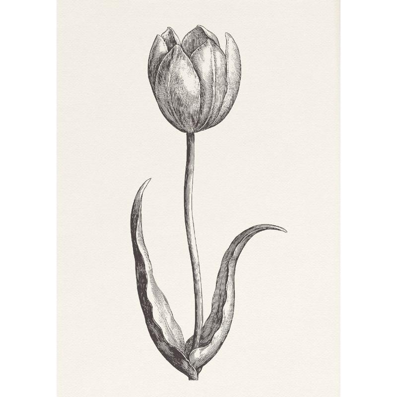 Apple Garlic Daisy Blossom Olive Branch Sketch Poster Print Vintage Botanical Drawing Canvas Painting for  Kitchen Room Decor
