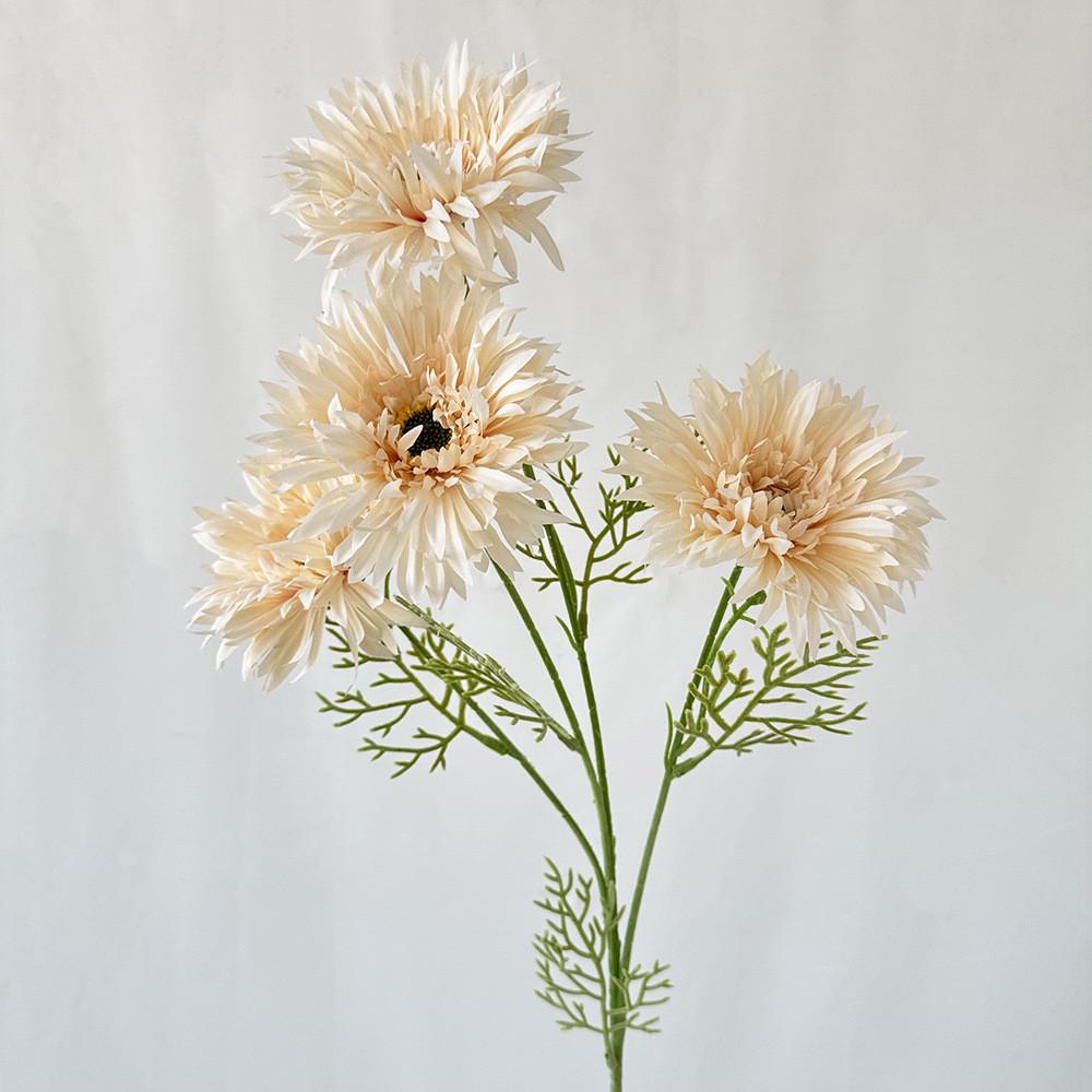 African Gerbera Jamesonii Bolus Wedding Decor For Home And Event Use