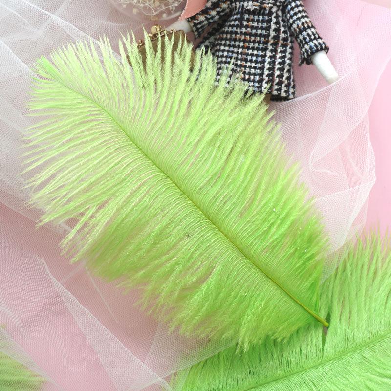 Colored Ostrich Hair 15-20Cm Wedding Ornament Wall Decoration Feather Wall Hand Bouquet Diy Dream Catcher Material