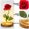 Beauty and Beast Artificial Flower Glass Cover Eternal Rose Birthday Gift Valentine's Day Gift