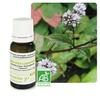 Pranarom Huile Essentielle Menthe Poivrée 10ml
