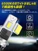 Briteye D2S LED 6500K Vehicle Inspection Compatible with D2S No Wiring Easily Convert Factory HID to D Fan Headlights, White, Compliant, Bulbs,