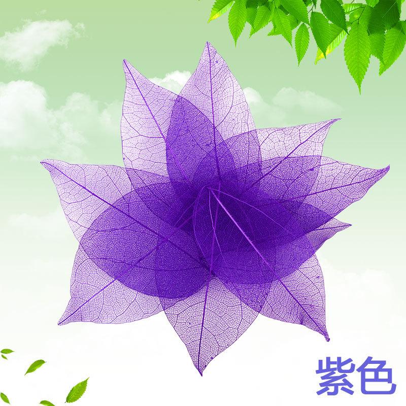 Dried Flowers Natural Skeleton Leaf Vein DIY Handmade Materials Nail Art Flowers Material for Wedding Party Home Decor-20/24pcs