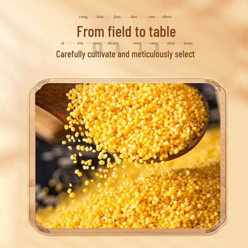 Liang Da Heng Shanxi Organic Yellow Millet