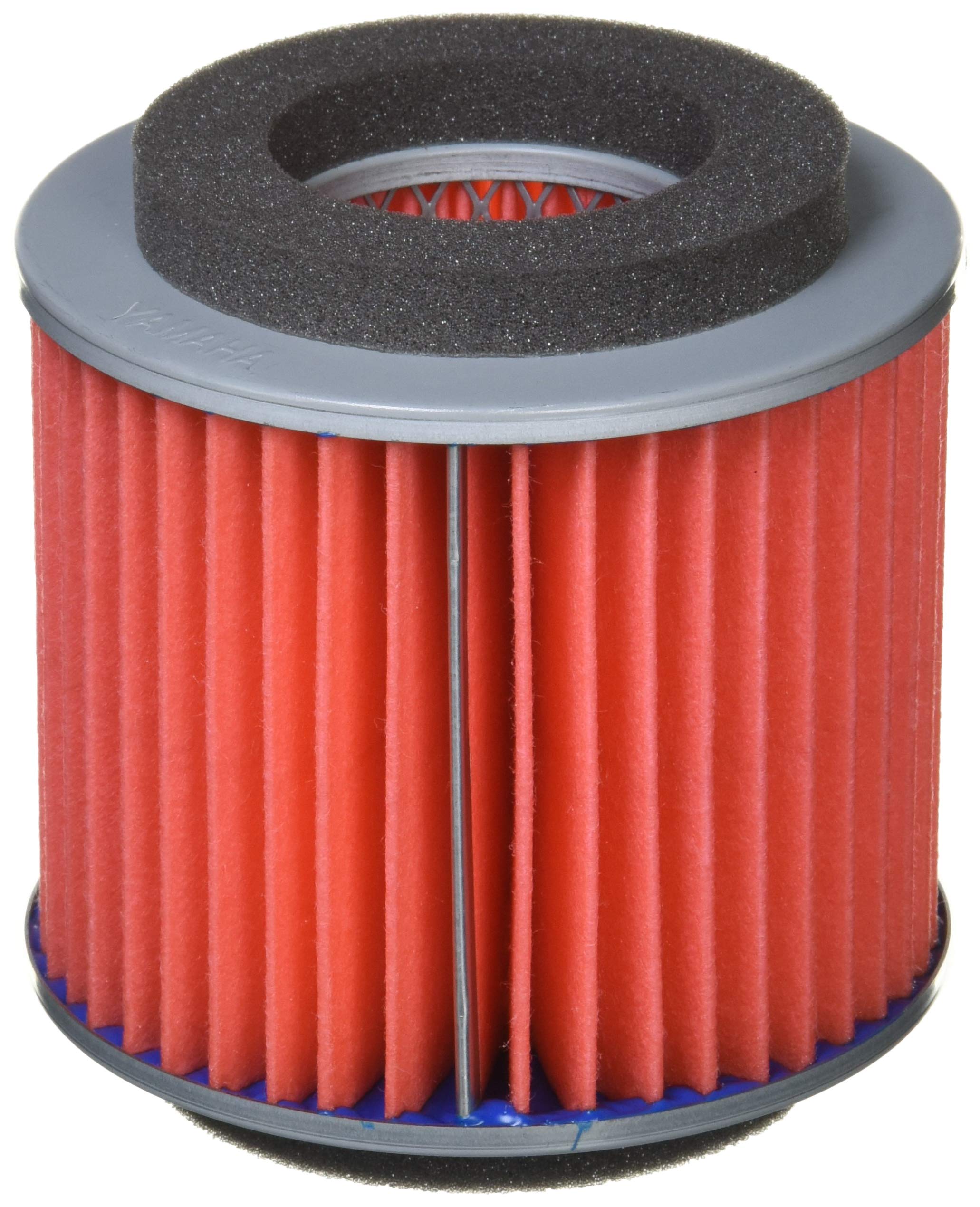 

Genuine Yamaha Motor Element and Air Cleaner for 4th Generation Cygnus X Parts (Part Number 2JS-E4451-00990423)