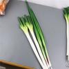Simulated Vegetables Realistic Scallions Garlic Sprouts Props for Hotel Kitchens
