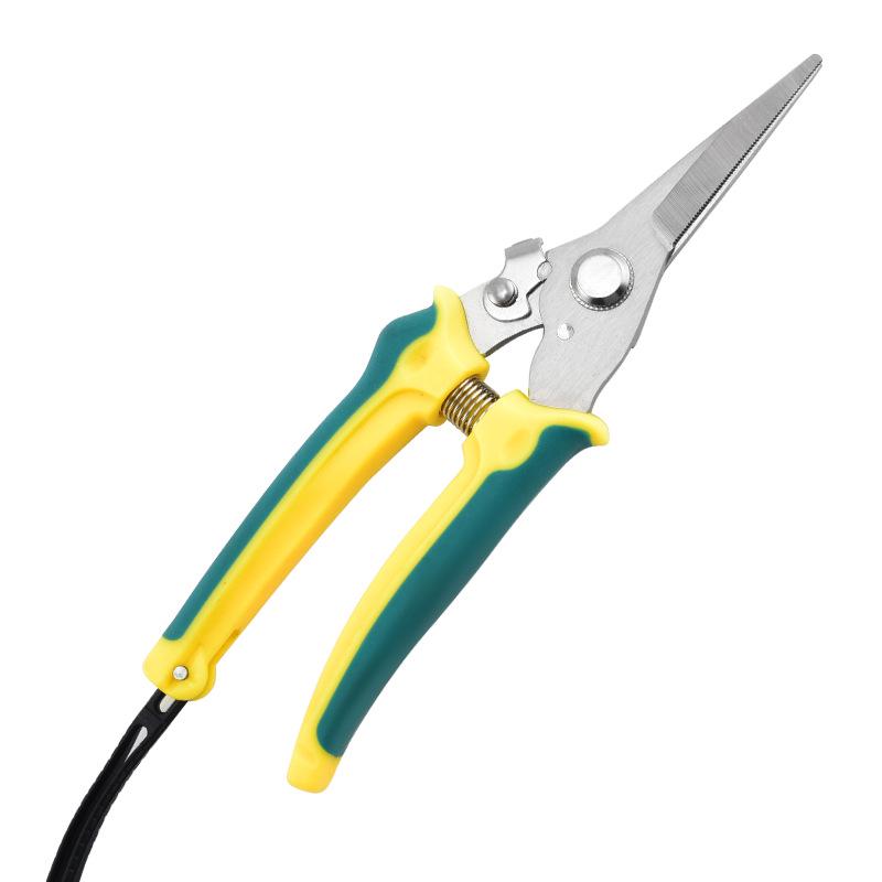 Branch and Flower Pruning Shears for Gardening and Floristry