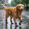 4PCS Breathable Waterproof Dog Socks Shoes Wear Resistant Dirt-Resistant Dog Paw Protector Adjustable Pet Shoes Covers Rain