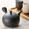 Tokoname Kyusu Teapot 440ml Shunjuu Hanamon Made in Japan
