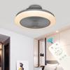 300W Modern RGB LED Ceiling Fan Lights APP Remote Control Fan 3-Wind Adjustable Speed Dimmable Ceiling Light Fan 48*20cm