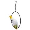 Iron Ring Parrots Decor Bright Texture Waterproof Iron Ring Parrots Resin Pendant Crafts
