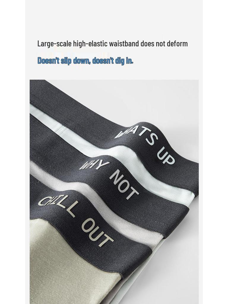 Modal Herren Antibakteriell Schnelltrocknend Sport Boxershorts - Sommer Atmungsaktiv, Große Größe