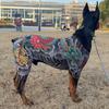 Roupa e sapatos – Camisolas com capuz para cães