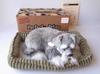 Ninian and Kino Perfect Pet Schnauzer Plush Stuffed Perfect Dog Stuffed Animal (Small) Toy, Realistic, Lifelike, Animal-Like Animal, Soothing, Moving,