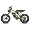 Electric Bicycle FAFREES F20 Ultra 20" 750W Motor Electric Bike Adult Top Speed 40Km/h 48V 25AH Range 140Km Load 180Kg