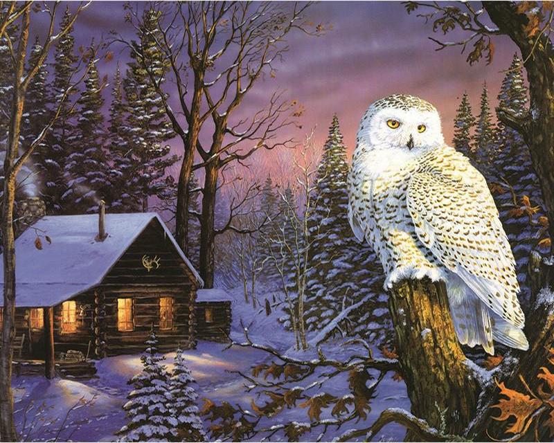 

5D своїми руками Алмазна мозаїка Яблуко Повний квадратний алмазний живопис Тварина Кінь Лебідь Квіти Вишивка хрестиком Алмазна вишивка Повний набір Мистецтво Домашній декор зі стразами Full Square 50X70CM темно-синього кольору