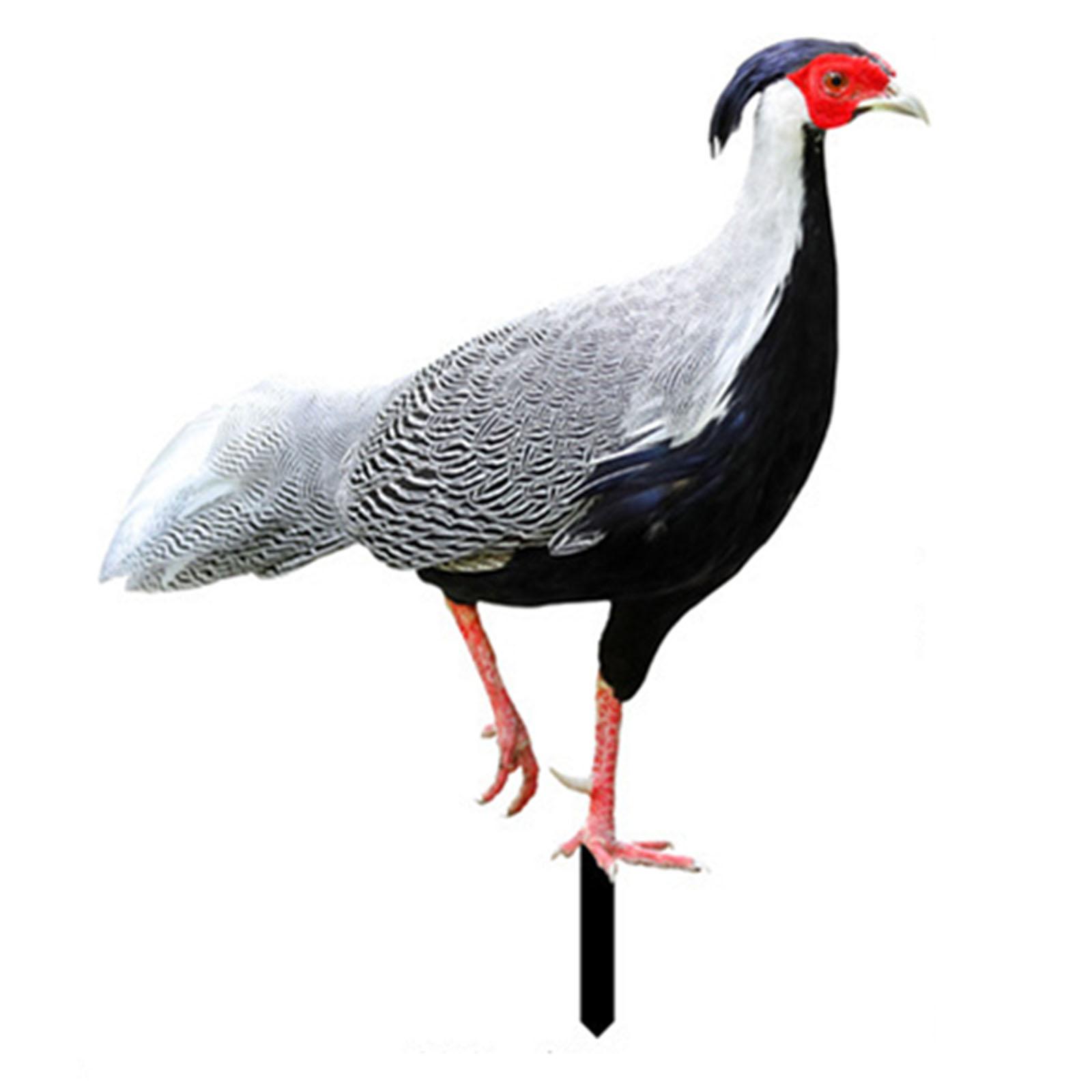 

Акриловые колья для двора Акриловые колья для украшения газона на открытом воздухе A