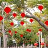 Chinese New Year Red Lantern 2025 New Year Home Decoration Spring Festival Lanterns Pendant Outdoor Home Decor Ornament
