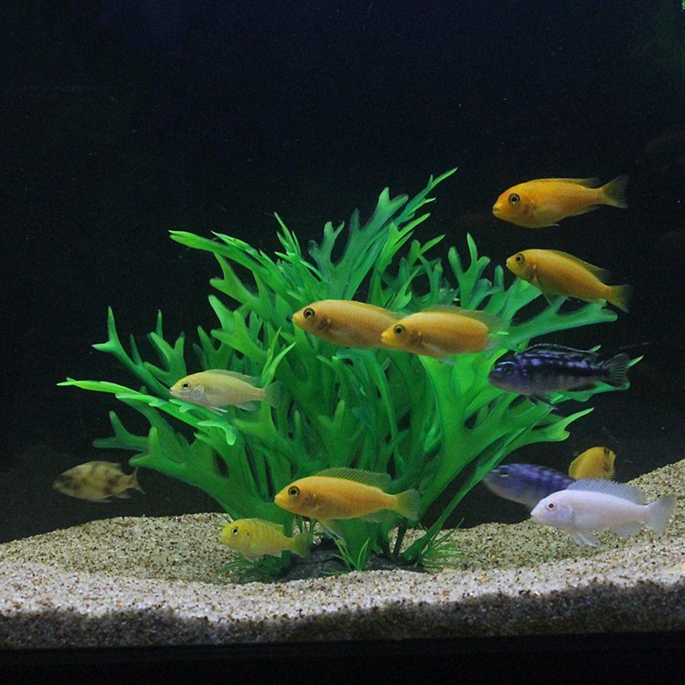 Simulation Artificial Aquatic Plants Mini Water Weeds Ornament Underwater Aquatic Plants  Home