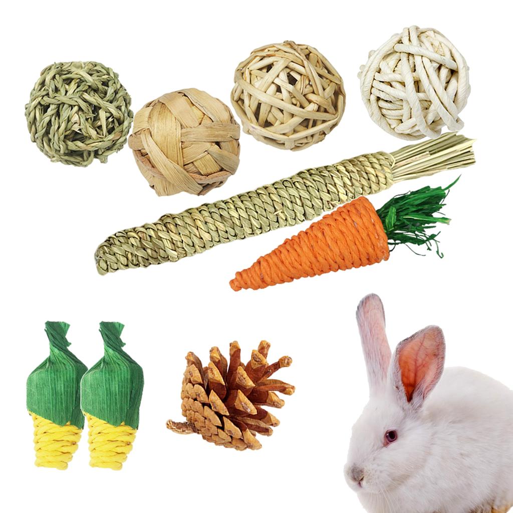 rabbit exercise toys