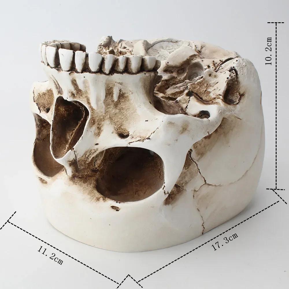 Bol de Bomboane Craniu Halloween din Rășină, Vas Plantator Ghiveci de Flori, Sculptură Statuetă Schelet Craniu Schelet Deschis Bol Mediu