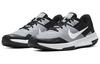 Nike Varsity Compete Tr 3 Cool Grey CJ0813-003