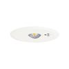 LED Emergency Lighting Fixture White 30-Minute Type Low Ceiling Use Self-Test Switch Remote Self-Test Function