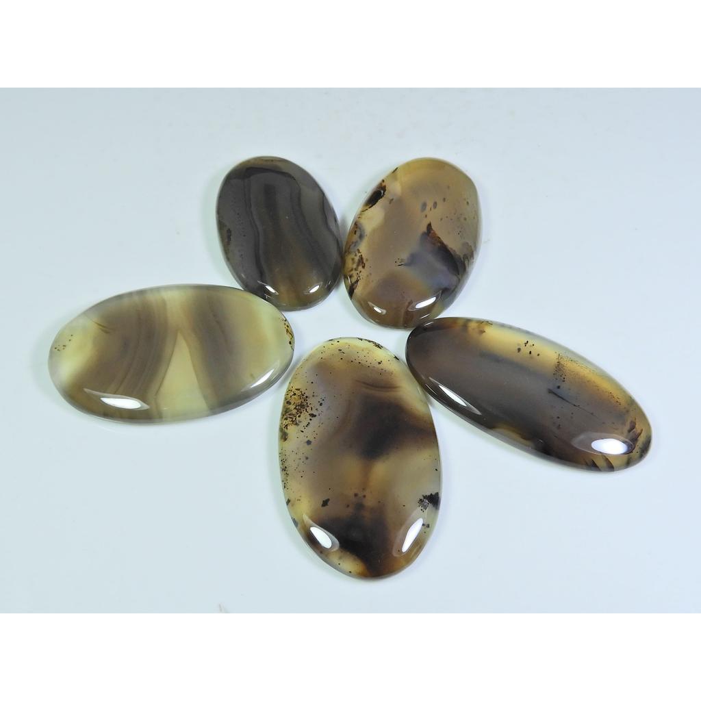 219Cts. Natural Botswana Agate Oval Cabochon Loose Gemstone 5 Pcs Lot A-664