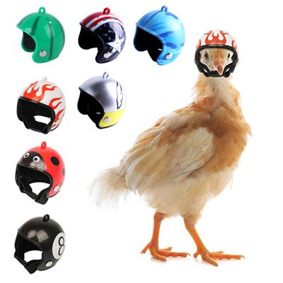 Chicken Helmet for Pet Funny Parrot Bird Hat Headwear Small Hard Costumes Accessories for Chickens Birds Parakeet