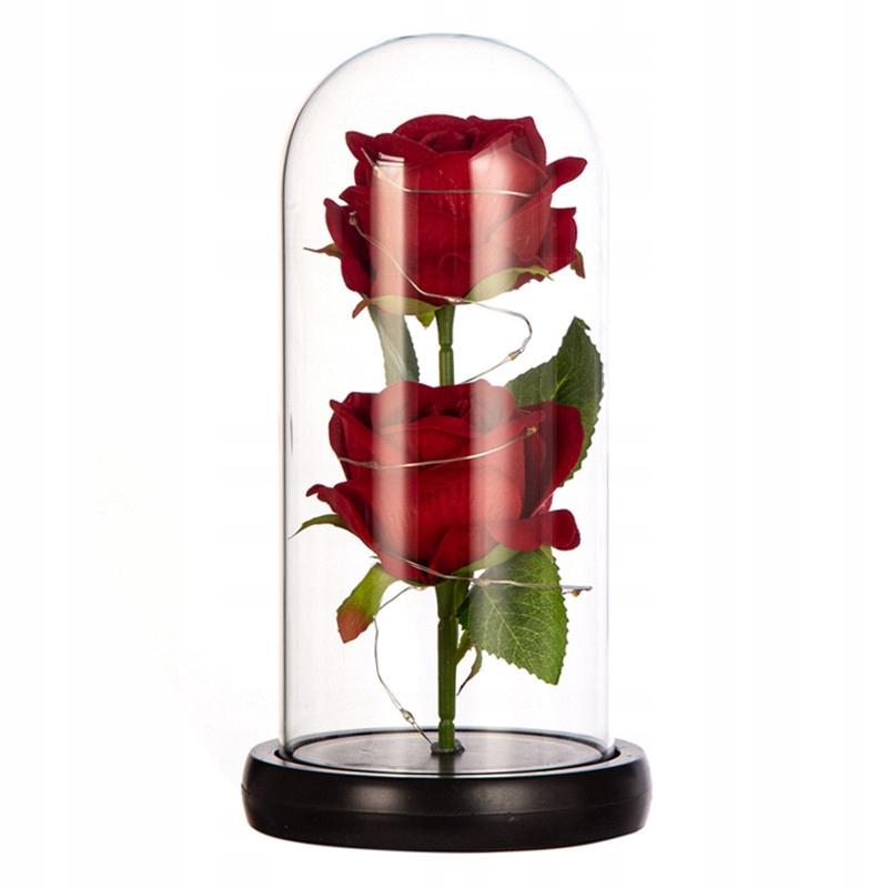 Eternal Double Rose In Glass Led Gift
