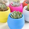 5PCS Mini Flower Pots Candy Colour Round Plastic Plant Pot with Drainage Holes Succulents Pot Garden Home Office Decoration ZYF