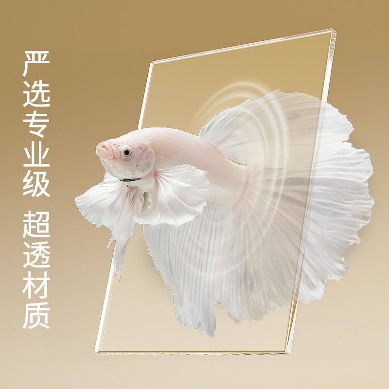 Small Desktop Aquarium with LED Light Creative Betta Fish Tank Complete Ecological Fish Tank for Home Office