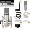 U87 Metal Diaphragm Microphone Set: Live Streaming & Recording Studio Kit with Boom Stand
