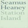 Station Island by Seamus Heaney Paperback Book 9780571133024