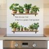 Grüne Pflanze Topfpflanzen Küche Esszimmer Zuhause Hintergrund Verschönerung und Dekoration Wandaufkleber
