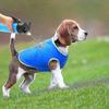 Dog Cooling Vest, Lightweight Cooler Jacket, Breathable Instant Cooling Dogs Vest For Pet Walking Hunting Training Sport Outdoor - PP