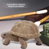 Vivid Animal Model Simulation Elephant Tortoise Toy Early Education Solid Toy for Kids