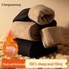 Hengyuanxiang Men's Thermal Wool-Filled Winter Base Layer Pants