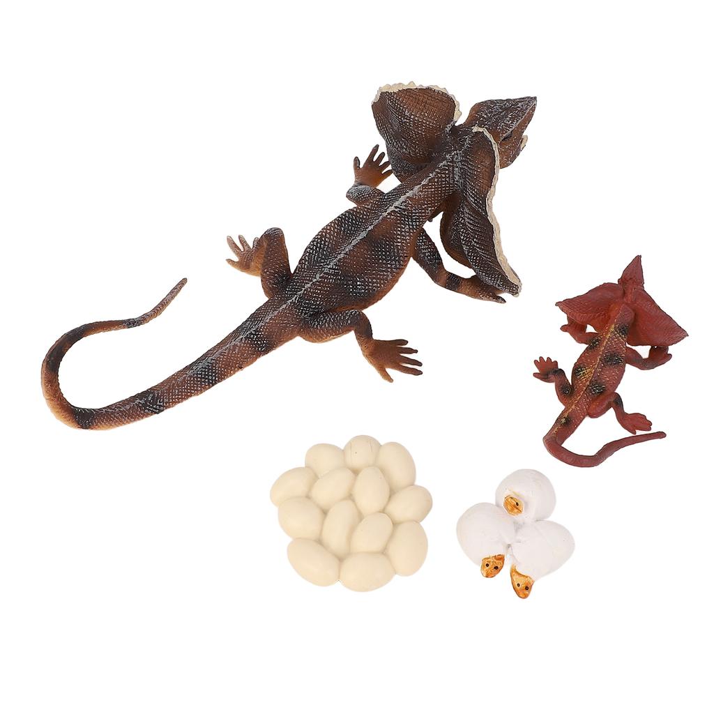 4 Stück Simulations-Tiermodell Simulations-Echsenwachstumsornament Kinder Kognitiver Wachstumszyklus