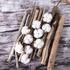 10-Head Natural Cotton Branches for Wedding Decoration Simulation Flowers Green Plants Handicrafts INS