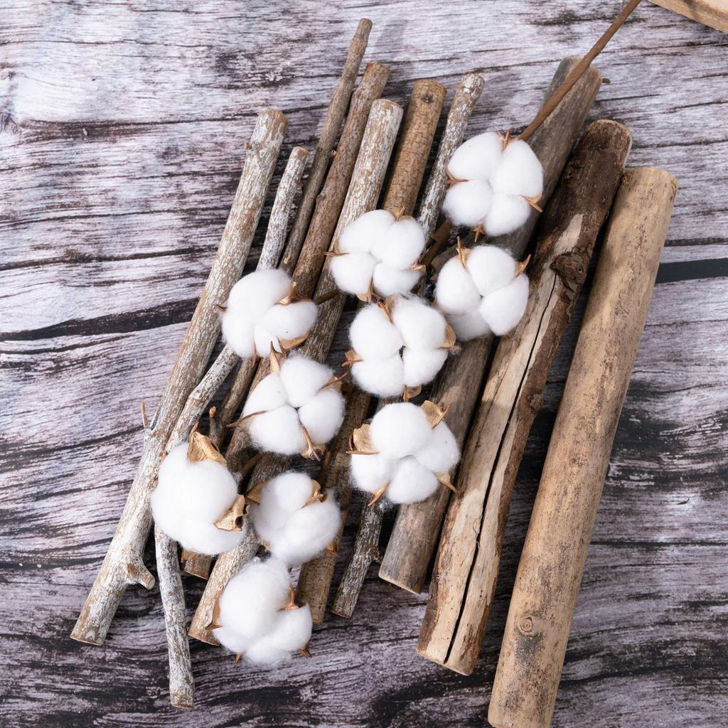 10-Head Natural Cotton Branches for Wedding Decoration Simulation Flowers Green Plants Handicrafts INS