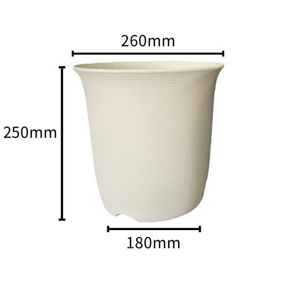 Simple Breathable Indoor Balcony Green Radish Succulent Seedling Flower Pot Manufacturer Cross-Border E-commerce
