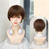 Ashely Short Wig for Men Fluffy Natural Black Hair High Temperature Fiber Synthetic Wigs Suitable for Daily Use Cosplay Sissy