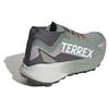 Adidas Trail Running Sneakers Terrex Agravic Goretex