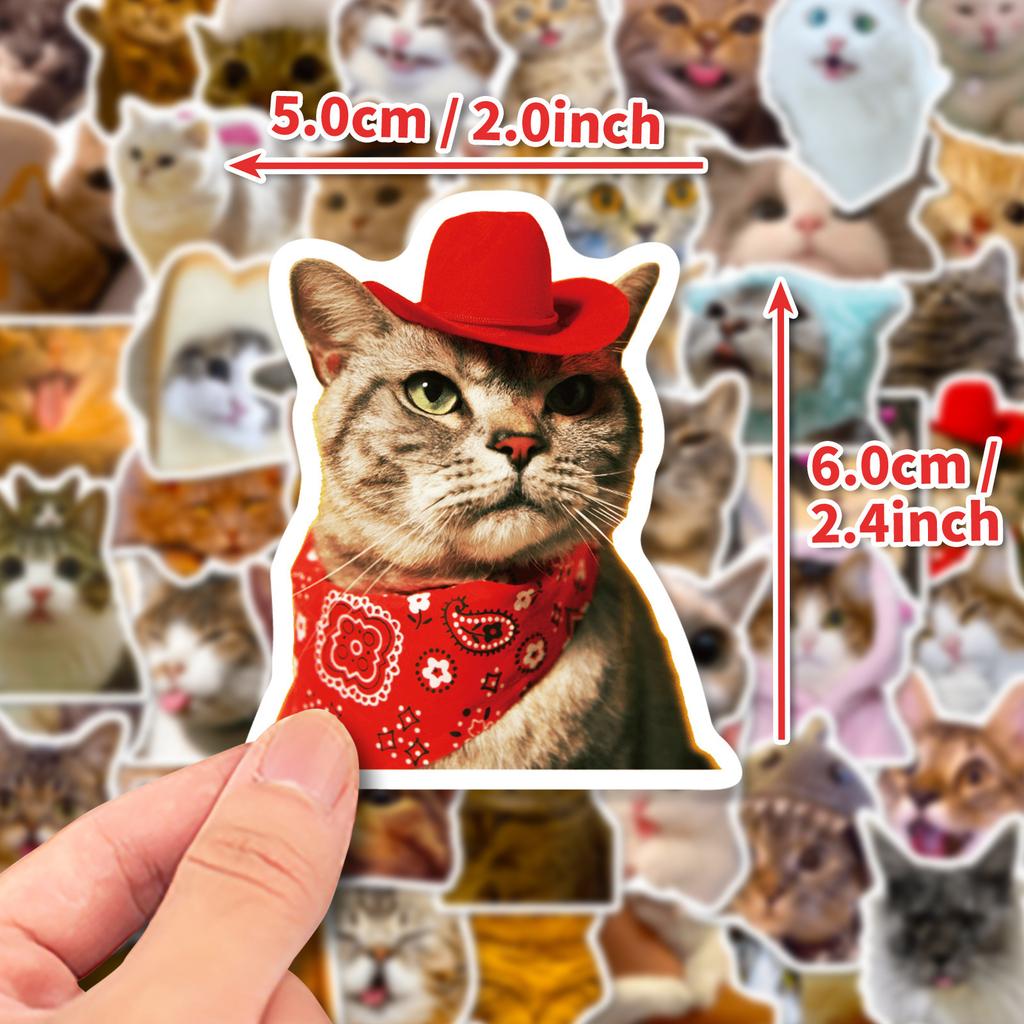 50 Realistic Kitten Stickers Cute Cat Cute Expression Creative Decoration Water Cup Notebook Hand Account Stickers