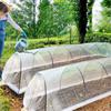 Cross-Border Agricultural Greenhouse Insect Net: Nylon Mesh for Vegetable Growth and Garden Protection