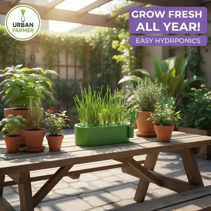 Stylish Hydroponic Pot with Scissors for Garlic and Scallion Regrowth Enhances Kitchen Decor